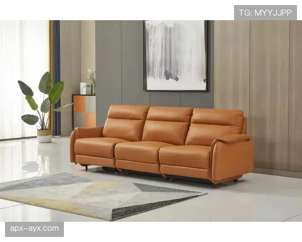 辛德胡晒了张家居照，沙发和我家客厅明显不是一个地球