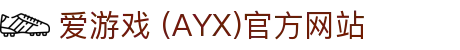 爱游戏AYX官方网站入口